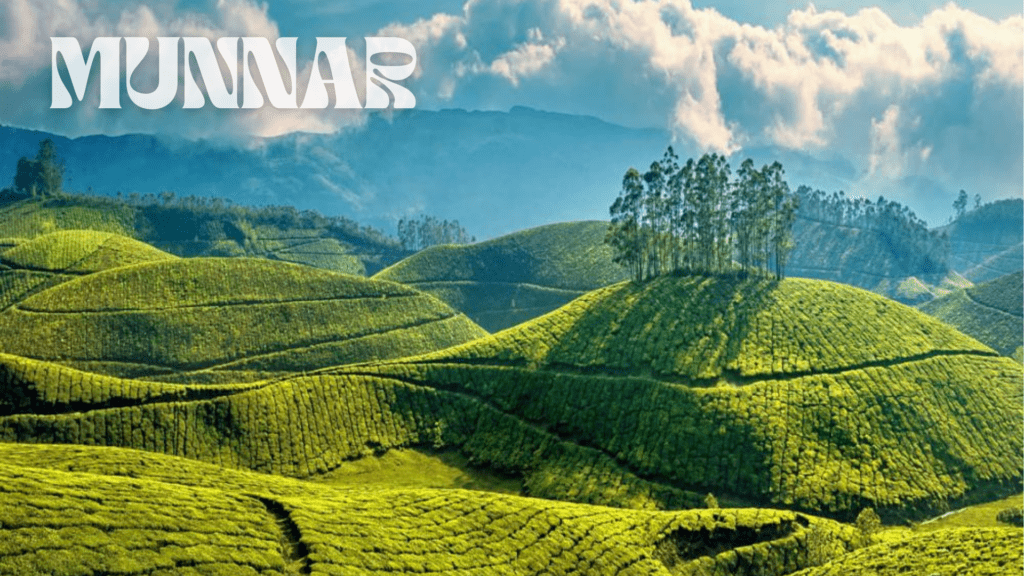 Best Places to Visit during the Monsoon in India - Munnar